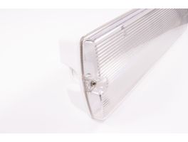 LED Emergency Bulkhead (Maintained/Non Maintained)