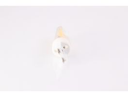 3W G9 LED Bulb (Non-Dimmable)