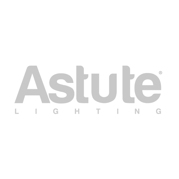 100W Street Light