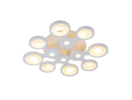 Small 12 Ring Contemporary Ceiling Light (2900k - 5000k)